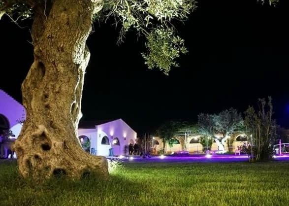 אלטאמורה Masseria Colle Carro Ba07200451000019667 מראה חיצוני תמונה